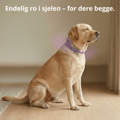 For de små øyeblikkene med ro