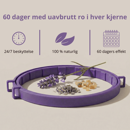 For de små øyeblikkene med ro