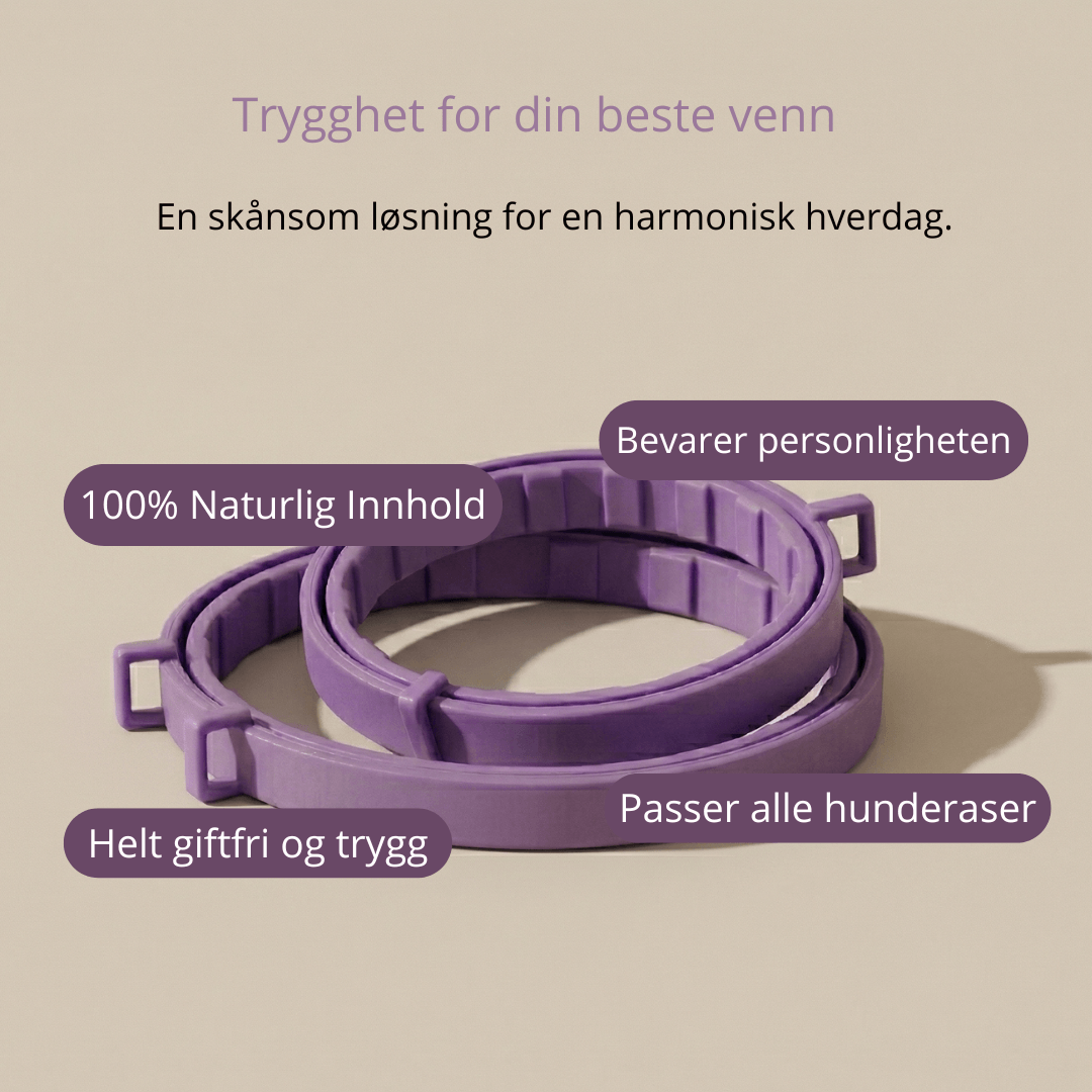 For de små øyeblikkene med ro